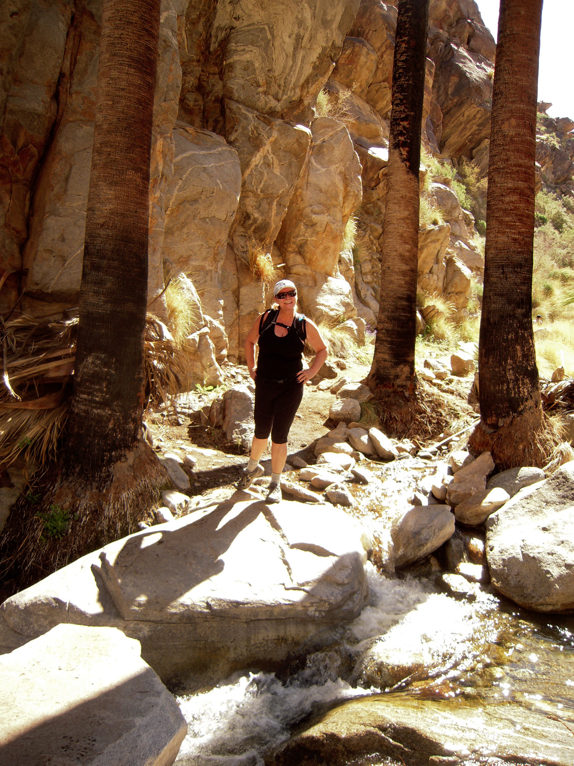 Murray Canyon03132010 (6)